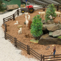 Gartenbahn 2024-12 Adventsausstellung - Modelleisenbahnclub Kreischa e.V.